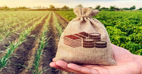 নির্বাচনী ওয়াদার ১০ হাজার টাকা পর্যন্ত কৃষি ঋণের সুদ ও আসল পরিশোধ করবে সরকার