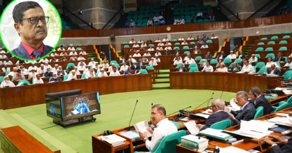 হিমালয়ের সঙ্গে পিলারের তুলনা আর মুক্তিযুদ্ধের সঙ্গে চব্বিশের তুলনা এক: ফজলুর রহমান