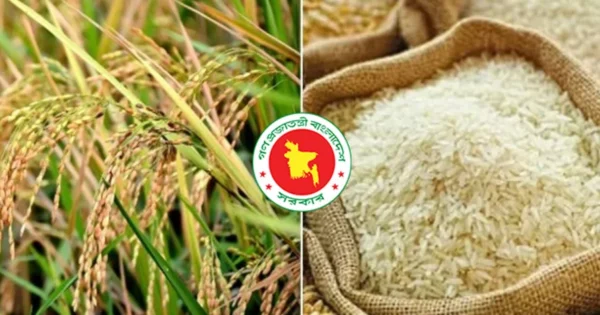 পর্যাপ্ত মজুদ থাকলেও আরও ৫ লাখ টন ধান সংগ্রহের সিদ্ধান্ত সরকারের