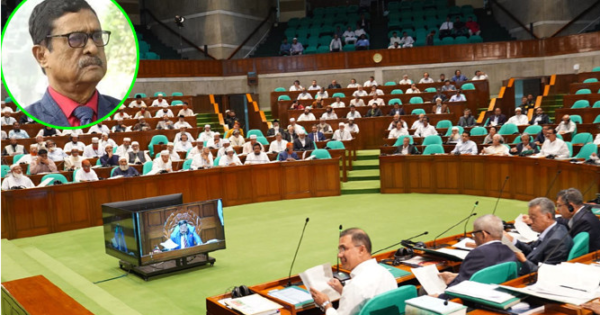 হিমালয়ের সঙ্গে পিলারের তুলনা আর মুক্তিযুদ্ধের সঙ্গে চব্বিশের তুলনা এক: ফজলুর রহমান