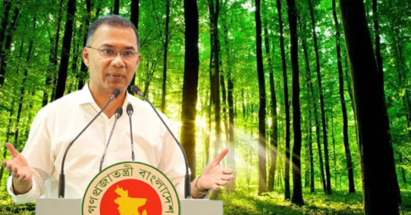 আগামী প্রজন্মের সুন্দরভাবে বেঁচে থাকার জন্য সবুজায়ন অপরিহার্য: প্রধানমন্ত্রী
