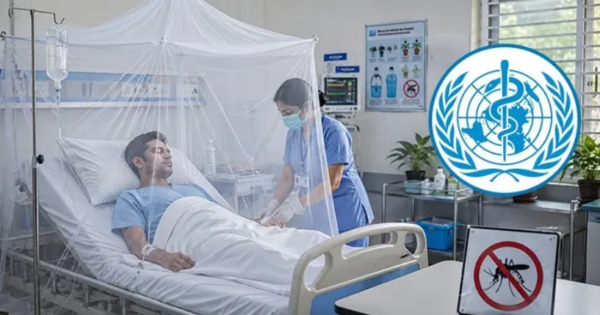 বিশ্বব্যাপী বাড়ছে ডেঙ্গুর প্রকোপ, সতর্ক থাকার আহ্বান বিশ্ব স্বাস্থ্য সংস্থার