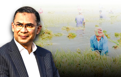 কৃষকদের ৫ বছরের মধ্যে সৌরবিদ্যুৎ চালিত পানির পাম্প দেয়া হবে: প্রধানমন্ত্রী